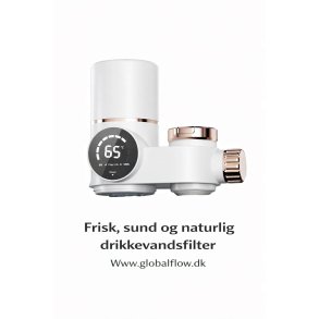 Filter - Globalflow F03